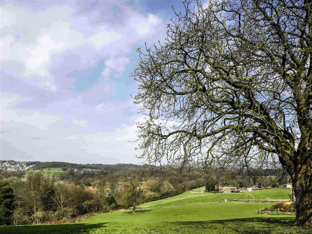 Mercure Bradford, Bankfield Hotel Bradford  Bagian luar foto